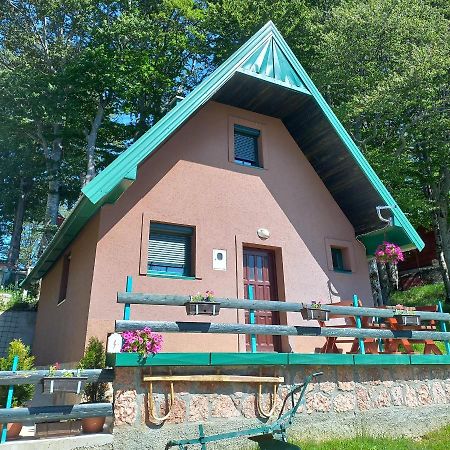 Vila Darija Zabljak  Bagian luar foto