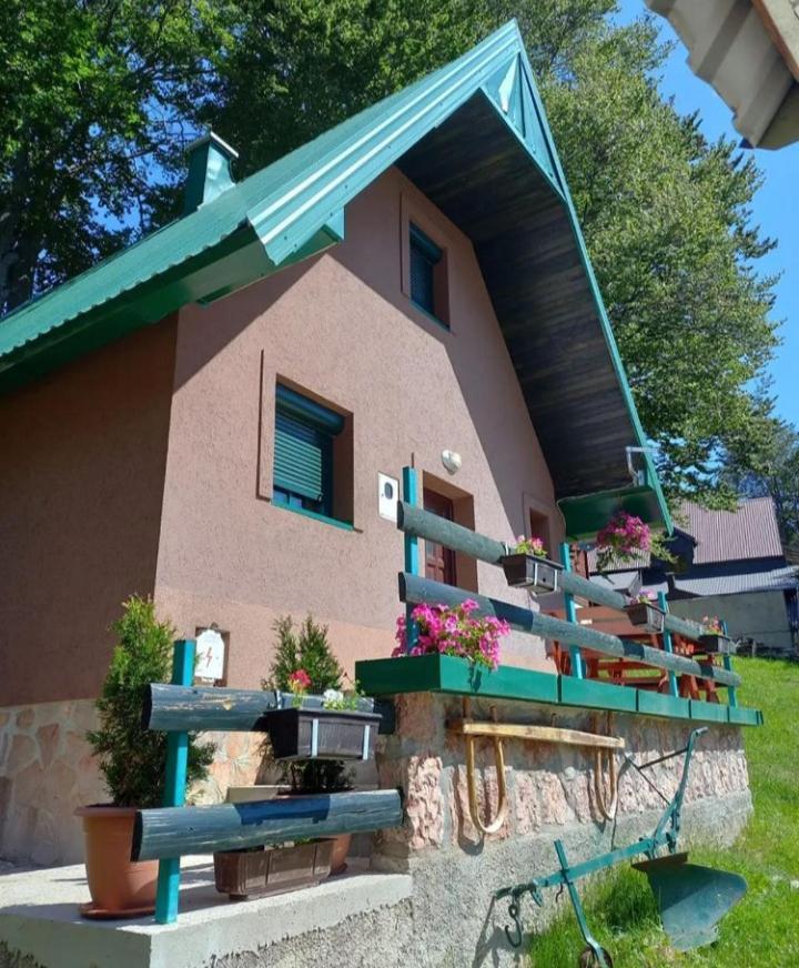 Vila Darija Zabljak  Bagian luar foto