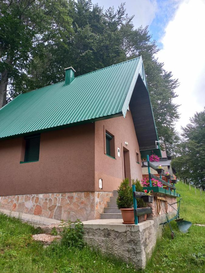 Vila Darija Zabljak  Bagian luar foto