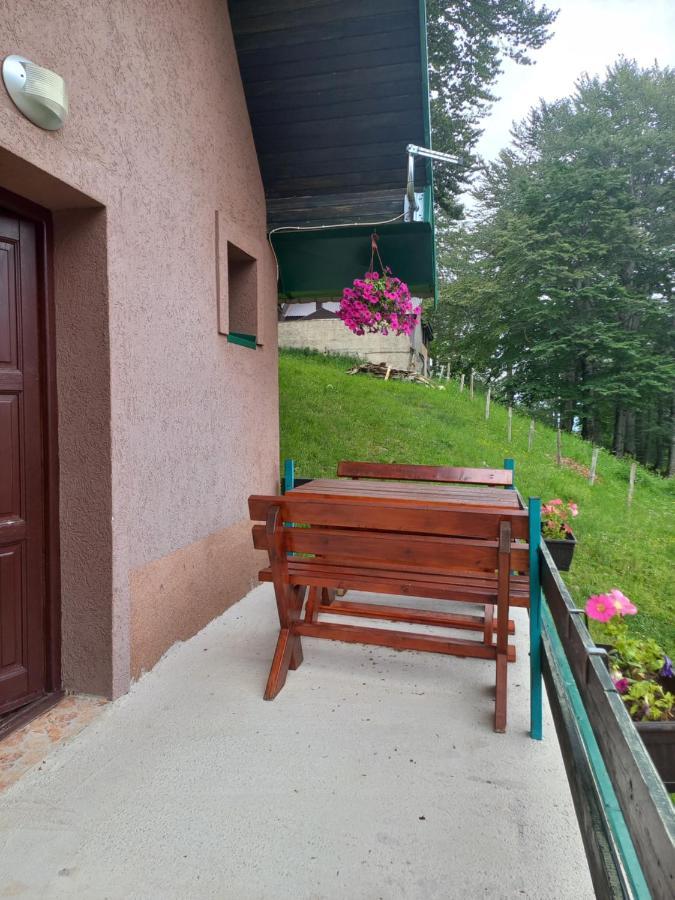 Vila Darija Zabljak  Bagian luar foto