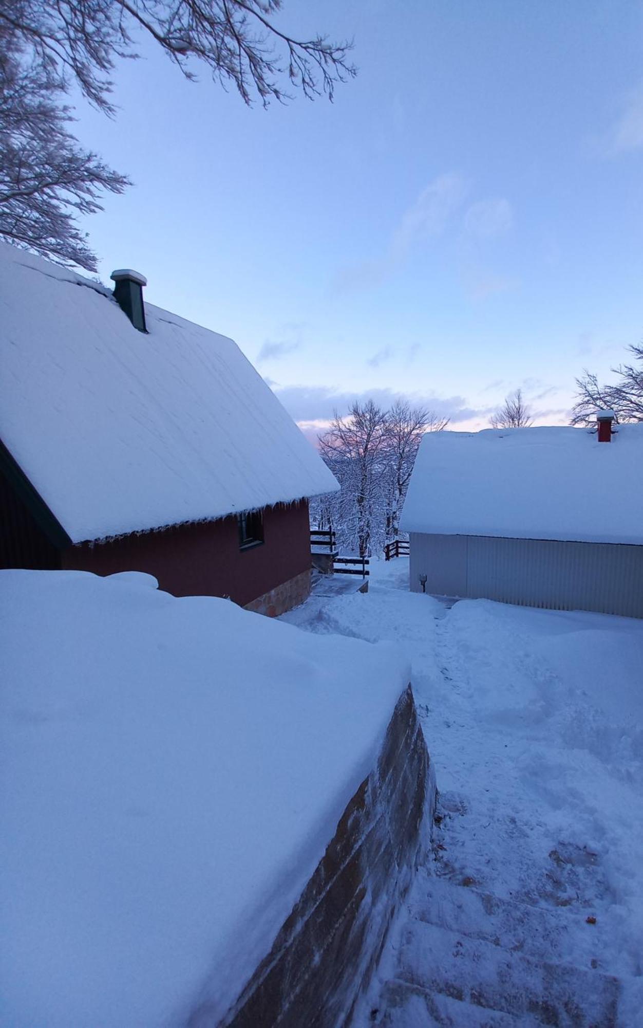 Vila Darija Zabljak  Bagian luar foto
